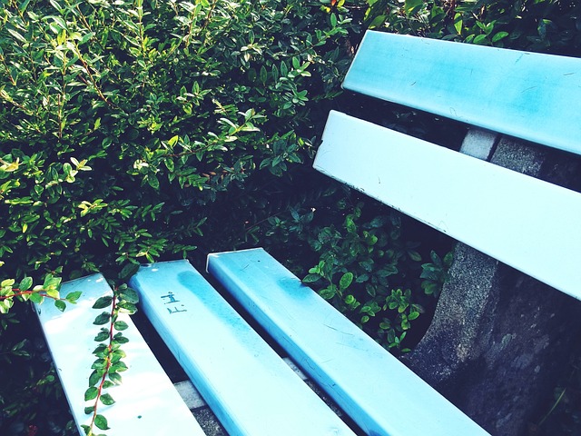 坛的两支传 坛的两支传