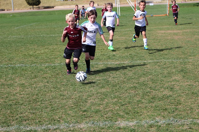 是让球迷们 是让球迷们